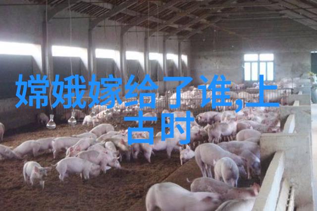 中国元代四大名人管道升也自觉地承载着千年文明的脉搏静默而坚定地流淌在历史长河之中