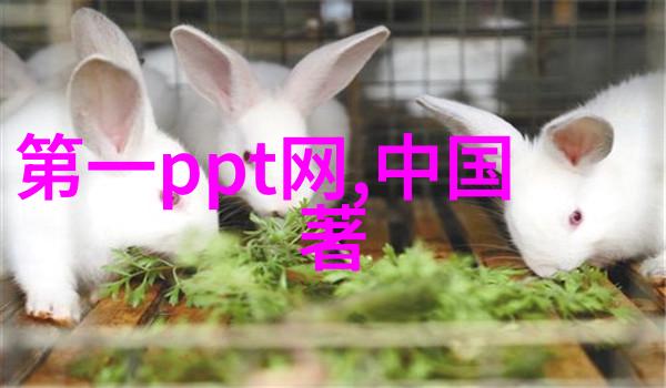神秘的山洞里的古墓与失落的宝藏