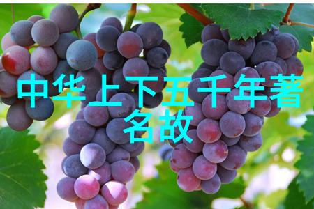 三国魏晋风华录王祯1289年至1368年