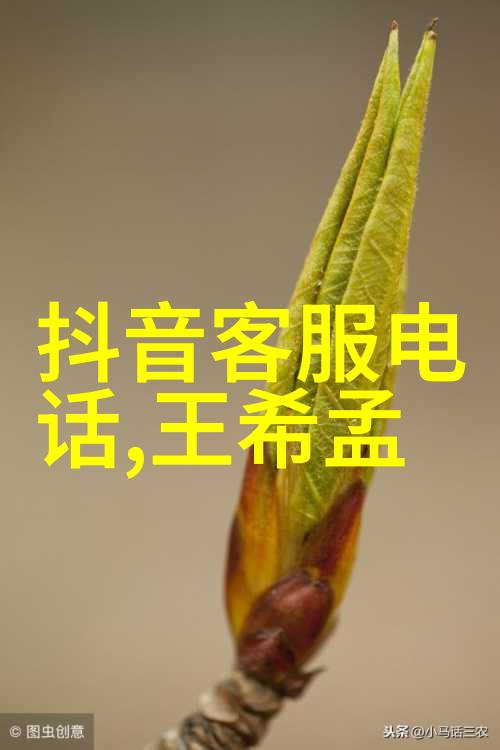 哔哩哔哩我是如何用国产一卡2卡3卡四卡在B站上大放异彩的