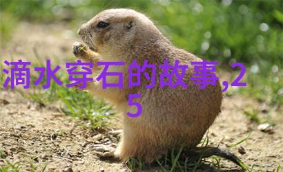 智慧不屈解读愚公移山的现代启示