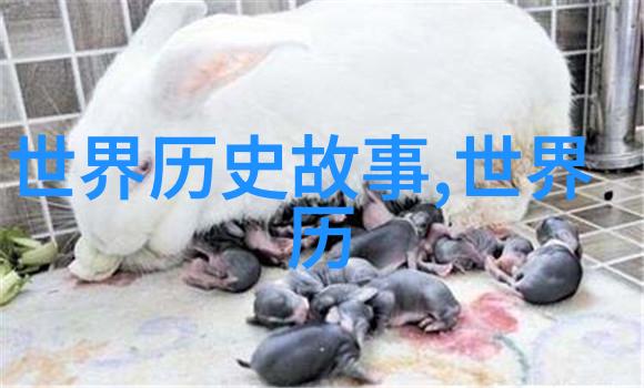 隋朝开国皇帝隋文帝杨坚育有几子如乙支文德