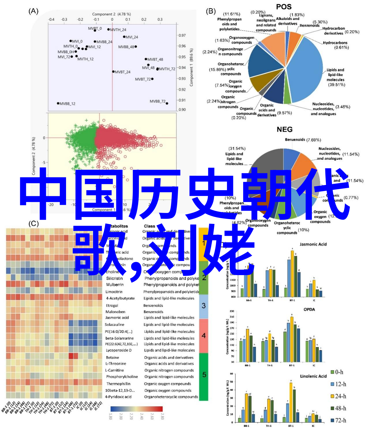 唐朝诗人李白与西域公主的奇遇