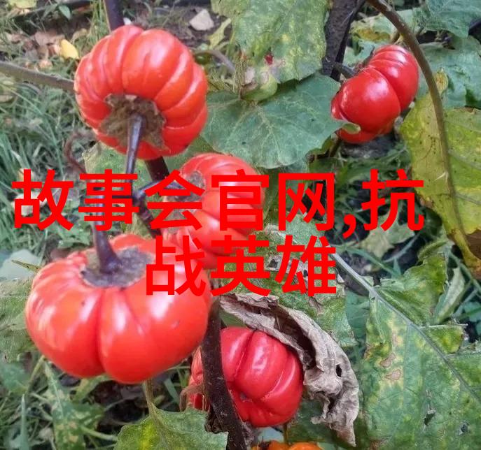 马良之手为何能绘出神奇画卷