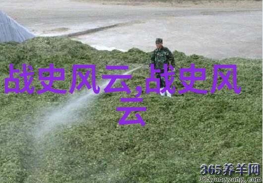 香蜜沉沉烬如霜全文总结爱恨交织命运的轮回