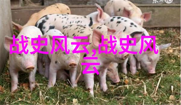 揭秘中国神话故事全集传说与民间故事的精华