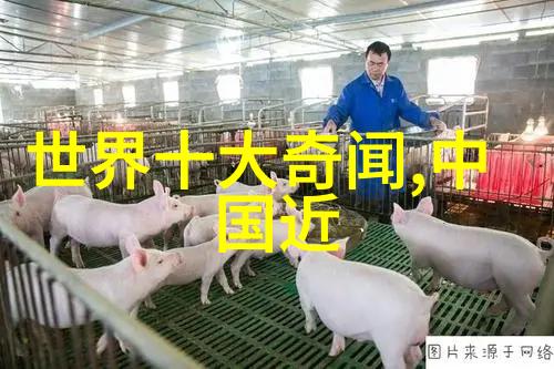 网站你知道我的意思的我在网上找不到你了你还记得我们吗