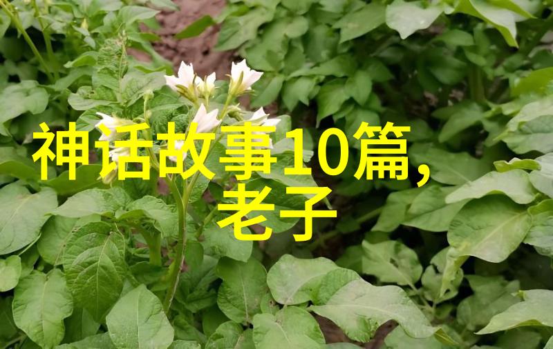 李加成京剧票友探讨梅兰芳三位老婆照片在社会中的影响与意义