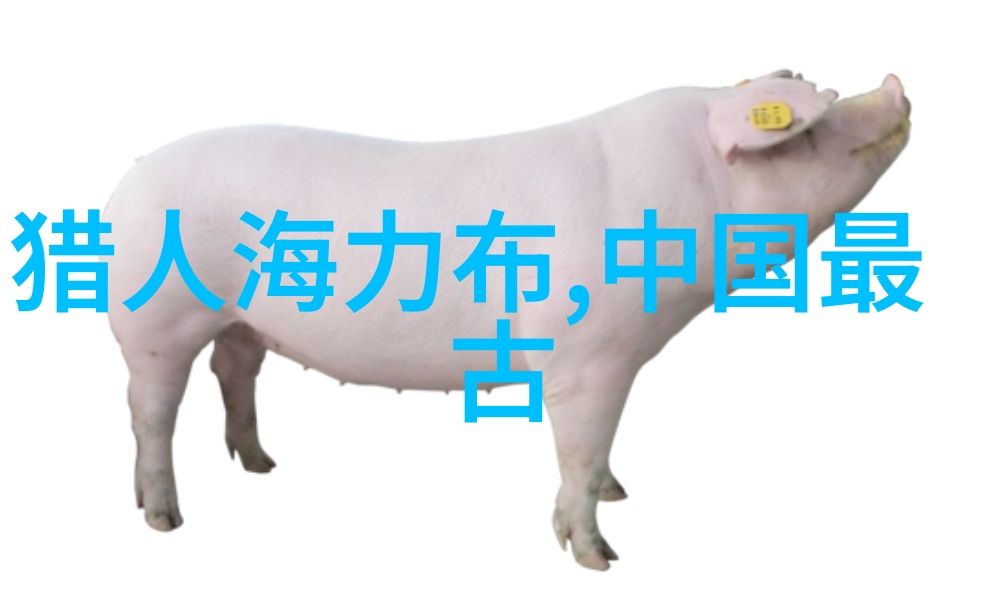 河南梨园春2023年总决赛视频朱玲豫剧旦行演员的辉煌舞台之旅