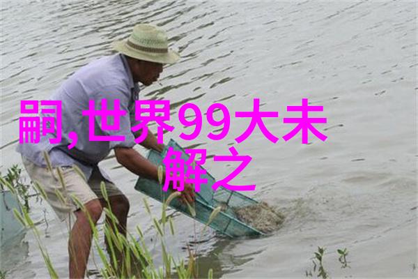 历史上有趣的名人故事我亲眼见证了世界上最神奇的转身从乞丐到国王流浪汉变身音乐巨星