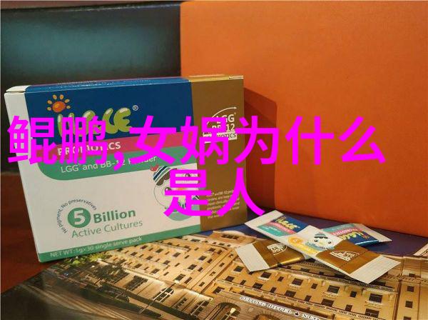 元朝开国皇帝泰定帝简介