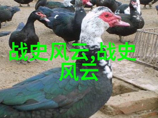 十大历史人物哈里马奎尔下