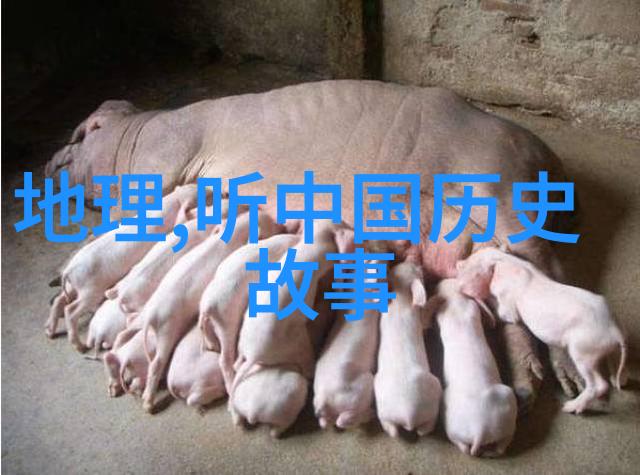 王尔德的秘密花园一位文学巨匠的同性恋爱情故事