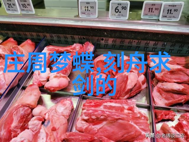 中华神话故事-龙凤呈祥中国古代四大神话传说