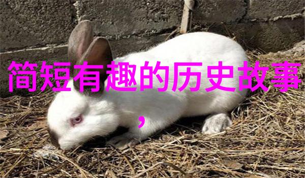 多配偶生活的挑战与机遇