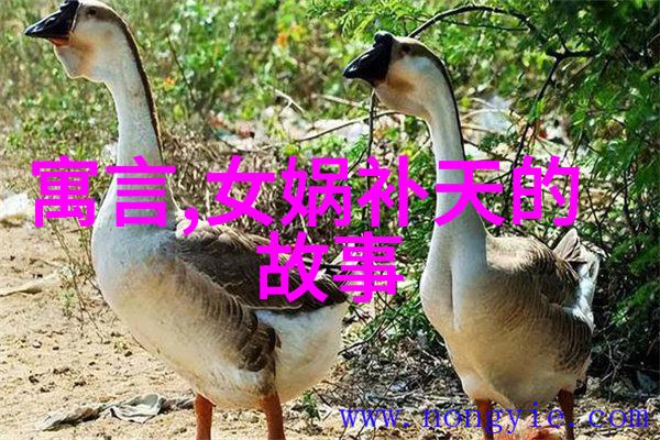 吕布的英雄梦碎霸业一场空
