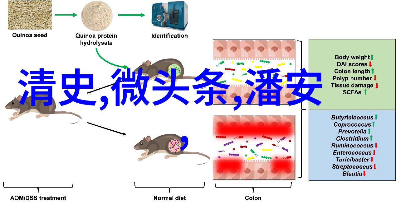 岁月里的英雄四年级的历史人物故事会
