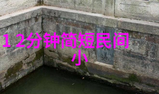 白虎将军守卫国界忠诚与勇武