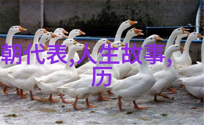 天界之战太阳神与月亮女王的决裂