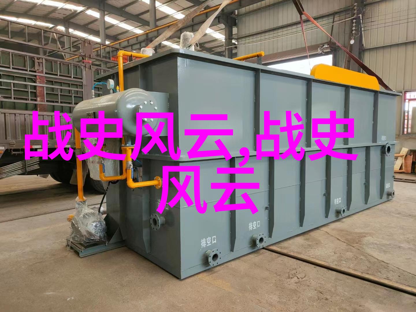 星光下的梦想之旅