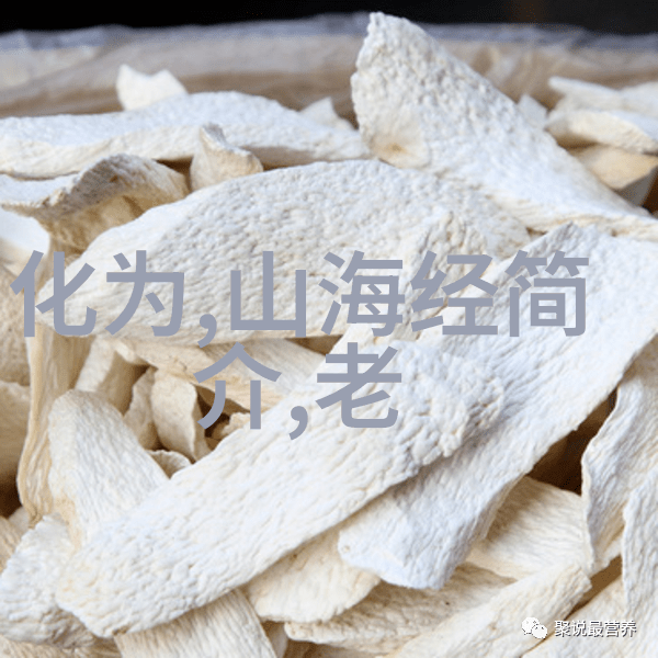 才上心头谢柳陆筝-心头的旋律探索才子与音乐之间的感动