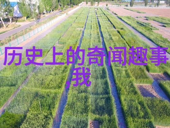 唐朝历代国君一览表反复沉浮的苦命皇帝二十六年艰难熬过而太子却在八个月后便离世了