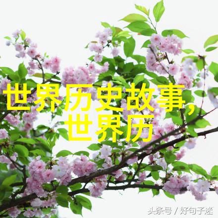 2022年真实搞笑新闻奇幻世界在中国村庄中悄然展开居民们误以为是新年的庆典