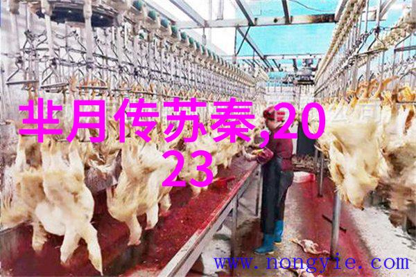 地球奇迹探秘揭秘世界上最神奇的自然现象