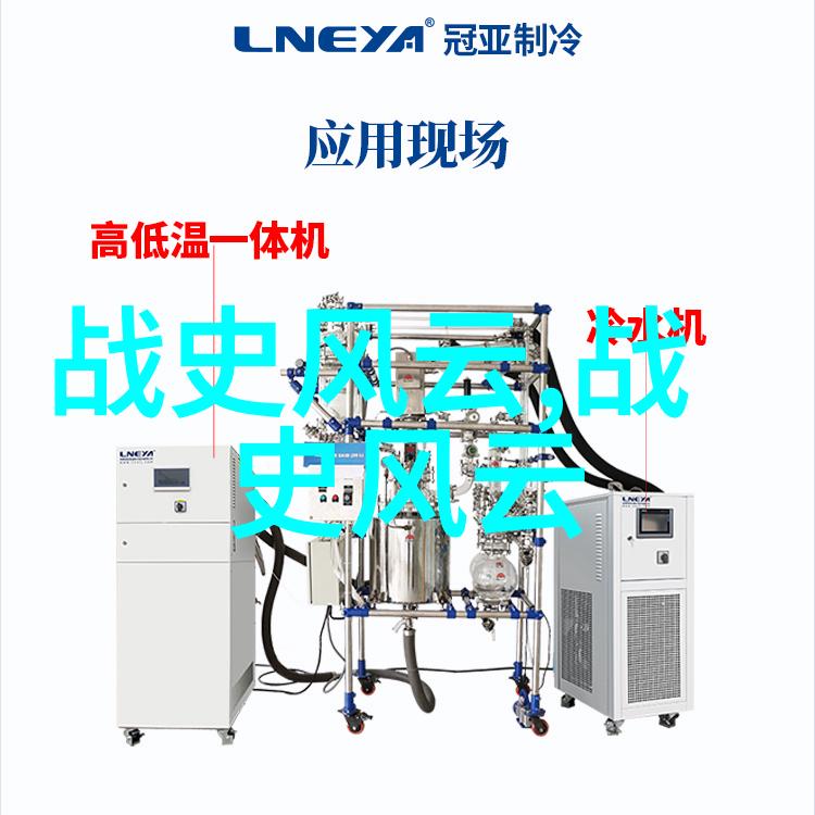 沉没的挖掘场环境灾难与生态复苏的故事