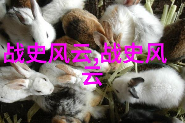 1840一1949年思维导图中国近现代史知识体系