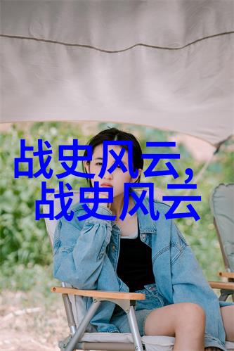 奇闻趣事-刘伯温为啥只封了个伯历史上的谜团与趣味解析