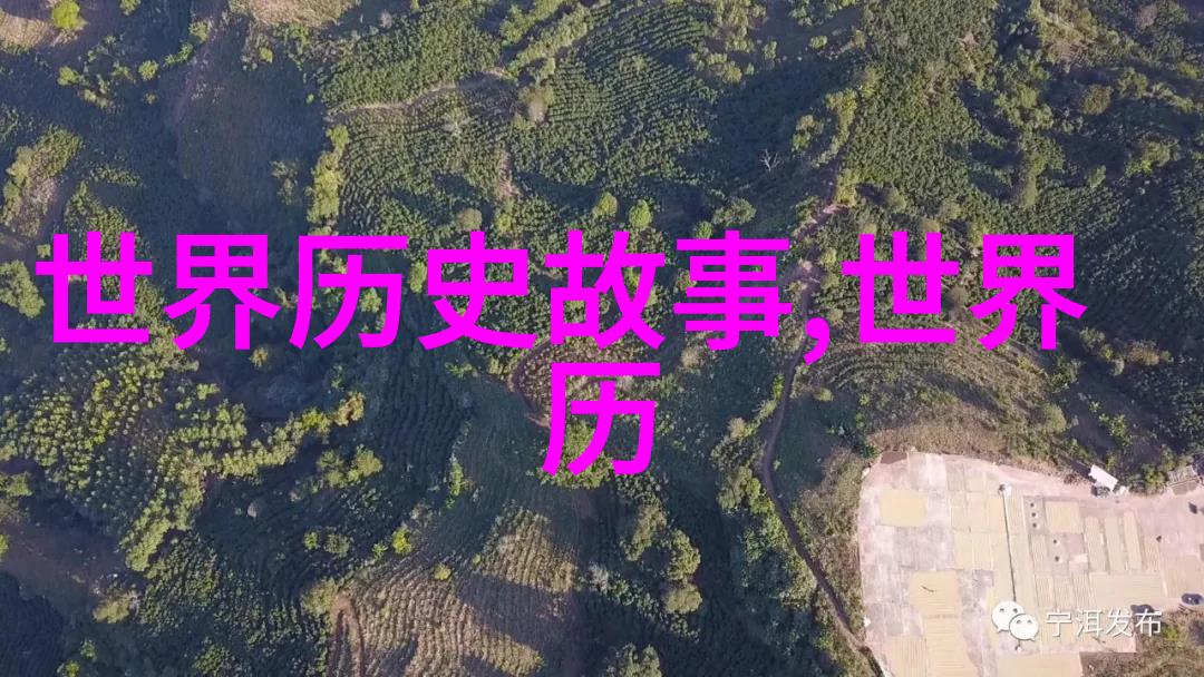明朝历史题目辉煌与衰落的考验