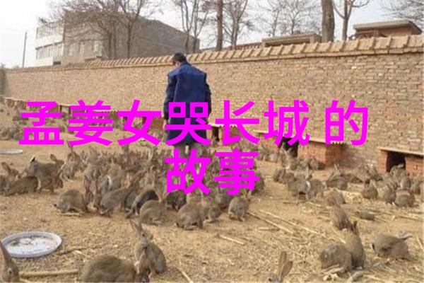 写一个历史故事我是唐朝的书生那年秋天的诗词之旅