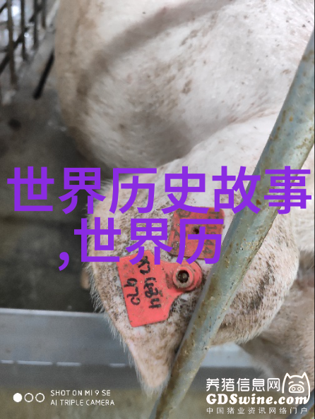 神话故事精选20个简短的传说之旅古老传统中的现代解读