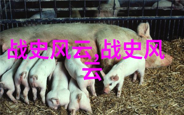 清朝旧事剖析黄马褂之谜揭秘哪些才子得穿荣衾