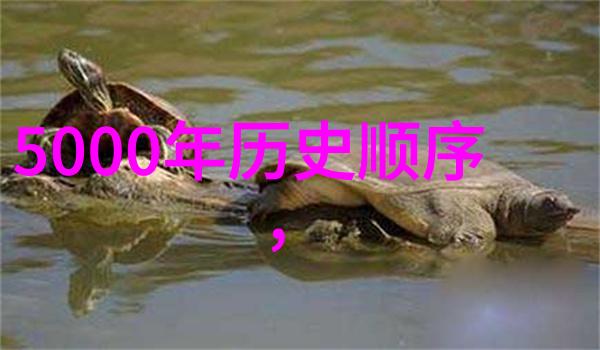 天际如画卷塞内加尔之高空神话
