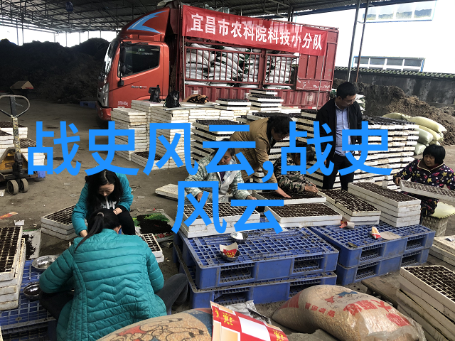 每个角落都藏着什么揭开故宫背后的迷雾