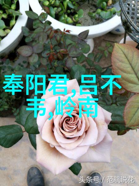 中国历史故事图片大全-穿越时空中国古代奇迹与传奇的视觉盛宴