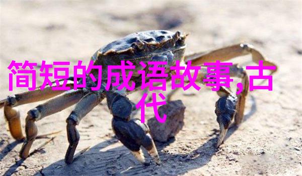 乾隆皇帝与雍正的怄气簿一场不解之缘的后宫大戏