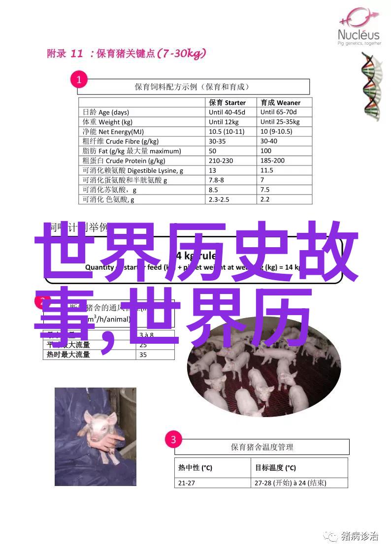 元顺帝北逃后的元朝历史我是如何见证了大汗的孤独逃亡