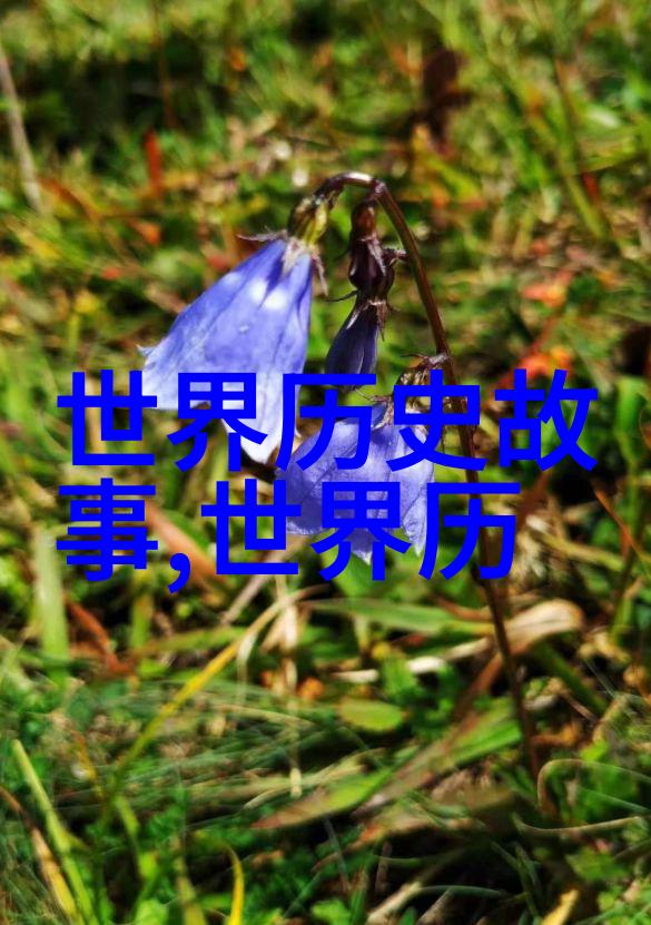 李梦阳又在哪个中国学术会议上闪耀呢