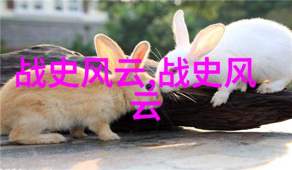 神话故事-天河女英与龙宫秘宝