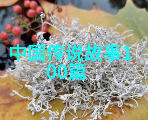 介绍一位历史人物作文400字我要讲述的是一个让人敬佩的古代女豪王昭君
