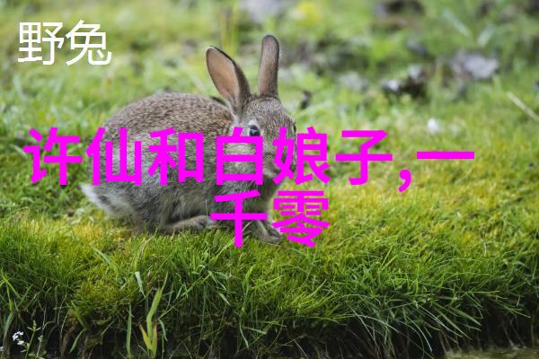 中国经典短篇历史故事100篇-穿越时空的史诗探秘中国古代传世佳话