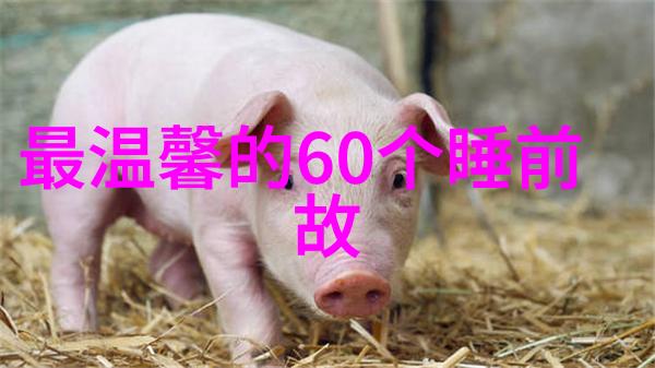 错误的答案引来花朵探索知识与自信之间的微妙关系