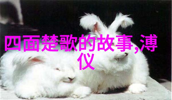 明朝那些事读书心得历史故事的魅力与启示