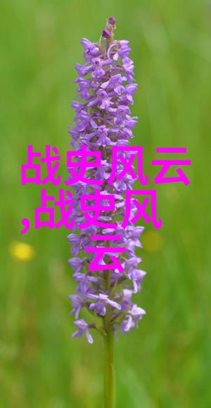 红色故事的回响催人泪下的演讲深情的历史回忆