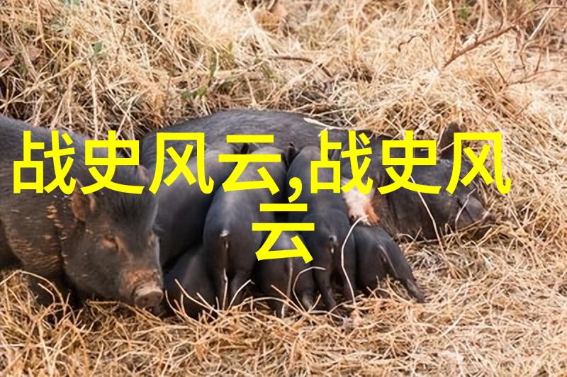差差差无掩盖视频30分钟我是如何在网上找到了一个超级搞笑的视频挑战