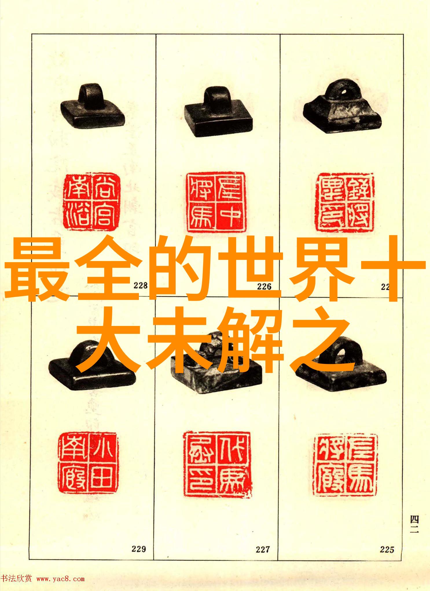 度田挥洒陈式杨式太极拳体验之旅  庞晓青指引您探索内在力量的艺术