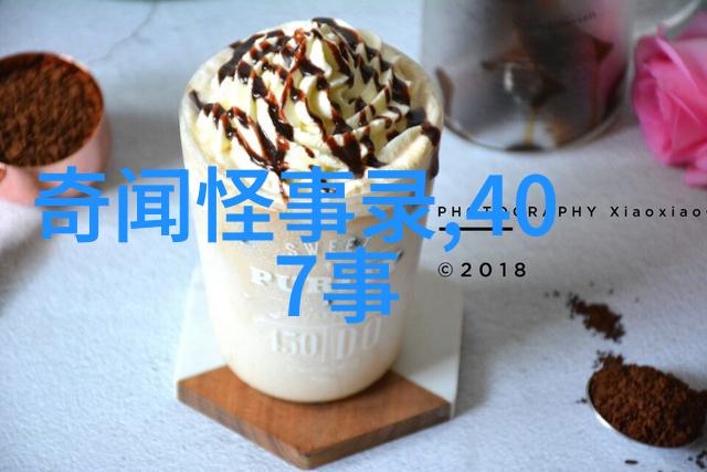 皮匠的两口锅荷兰上下五千年的故事